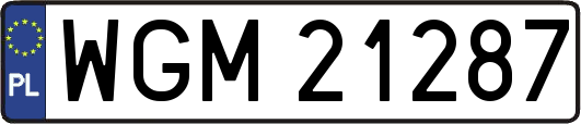 WGM21287