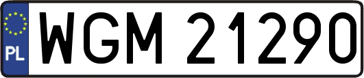 WGM21290