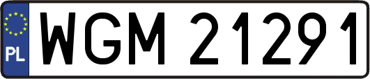 WGM21291