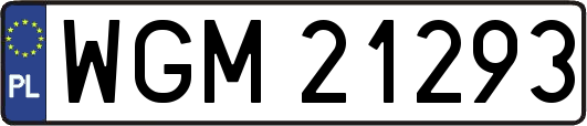 WGM21293