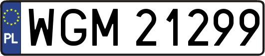 WGM21299