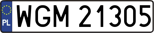 WGM21305