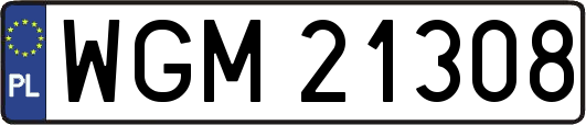 WGM21308
