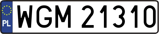 WGM21310