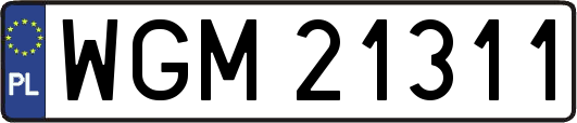 WGM21311