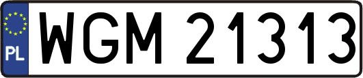 WGM21313