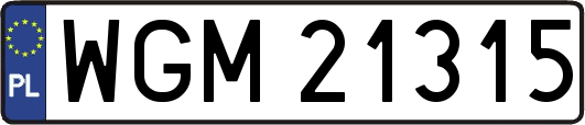 WGM21315