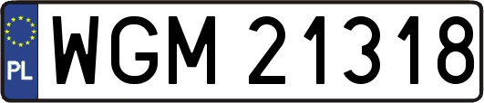 WGM21318