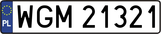 WGM21321