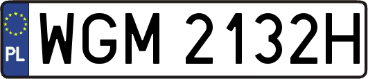 WGM2132H
