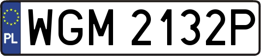 WGM2132P