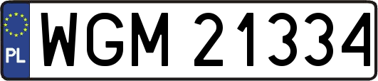 WGM21334