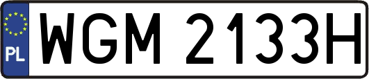 WGM2133H