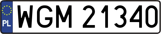 WGM21340