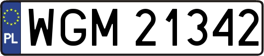 WGM21342