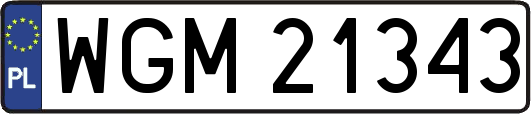 WGM21343