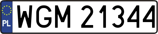 WGM21344