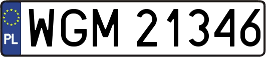 WGM21346