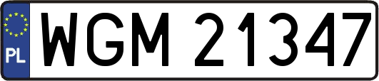 WGM21347
