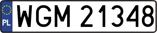WGM21348