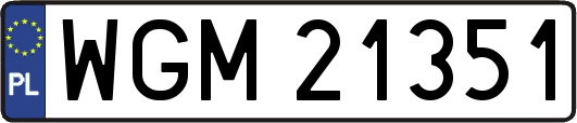 WGM21351