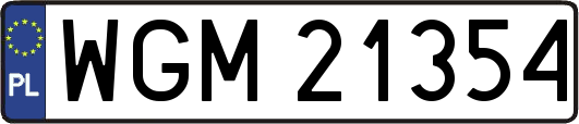 WGM21354