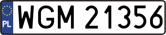 WGM21356