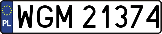 WGM21374