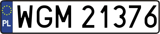 WGM21376