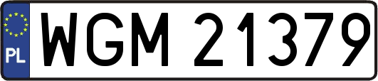WGM21379