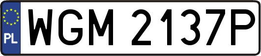 WGM2137P