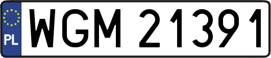 WGM21391