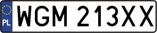 WGM213XX