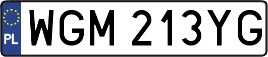 WGM213YG