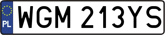 WGM213YS