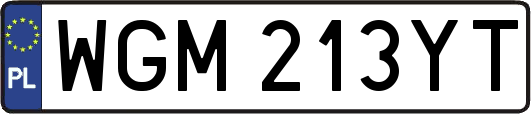 WGM213YT