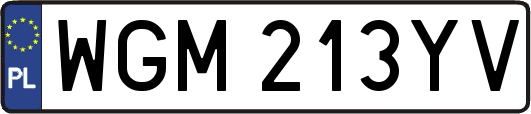 WGM213YV