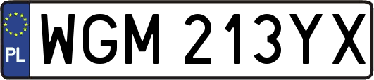 WGM213YX
