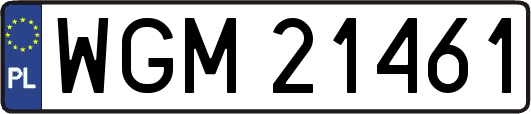 WGM21461