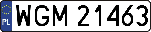 WGM21463