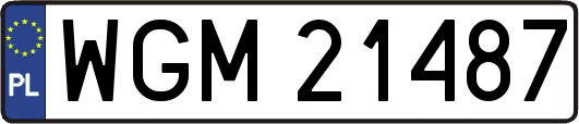 WGM21487