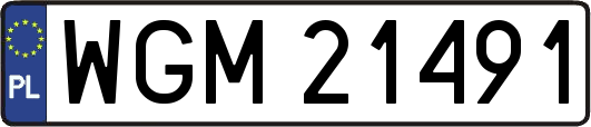 WGM21491
