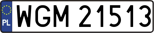 WGM21513