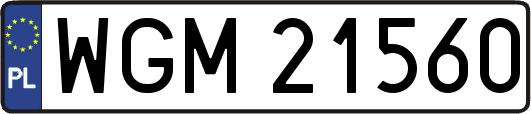 WGM21560