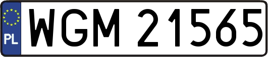 WGM21565