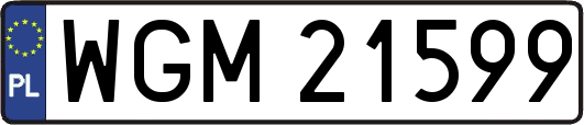 WGM21599