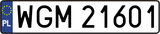 WGM21601