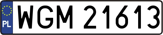 WGM21613