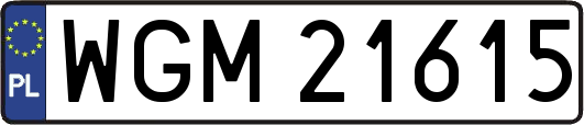 WGM21615
