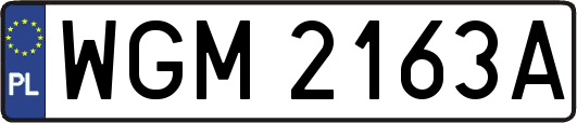 WGM2163A